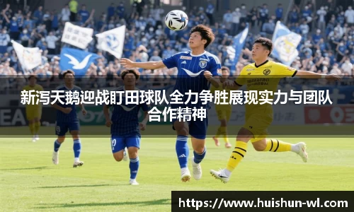新泻天鹅迎战盯田球队全力争胜展现实力与团队合作精神