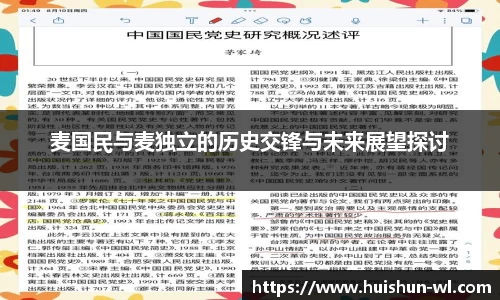 麦国民与麦独立的历史交锋与未来展望探讨