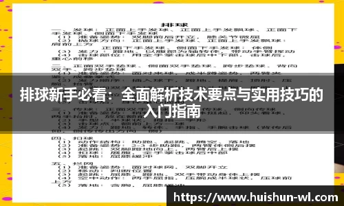 排球新手必看:全面解析技术要点与实用技巧的入门指南