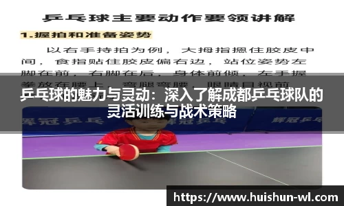 乒乓球的魅力与灵动：深入了解成都乒乓球队的灵活训练与战术策略