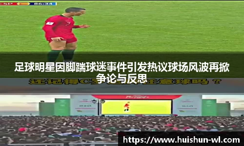 足球明星因脚踹球迷事件引发热议球场风波再掀争论与反思