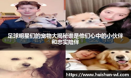 足球明星们的宠物大揭秘谁是他们心中的小伙伴和忠实陪伴