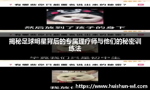 揭秘足球明星背后的专属理疗师与他们的秘密训练法